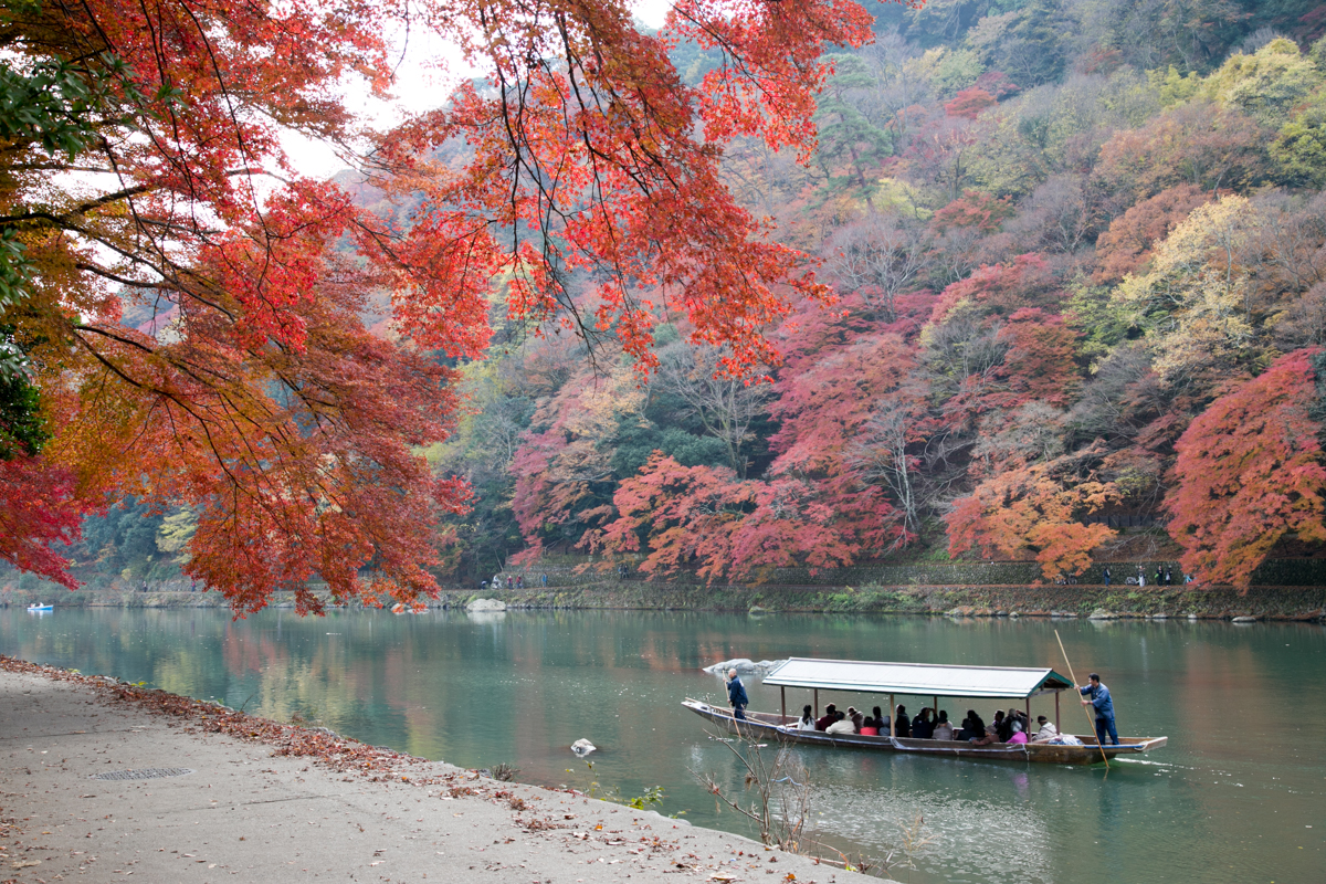 Lake Biwa Bass Fishing Guide Page for Overseas Travelers