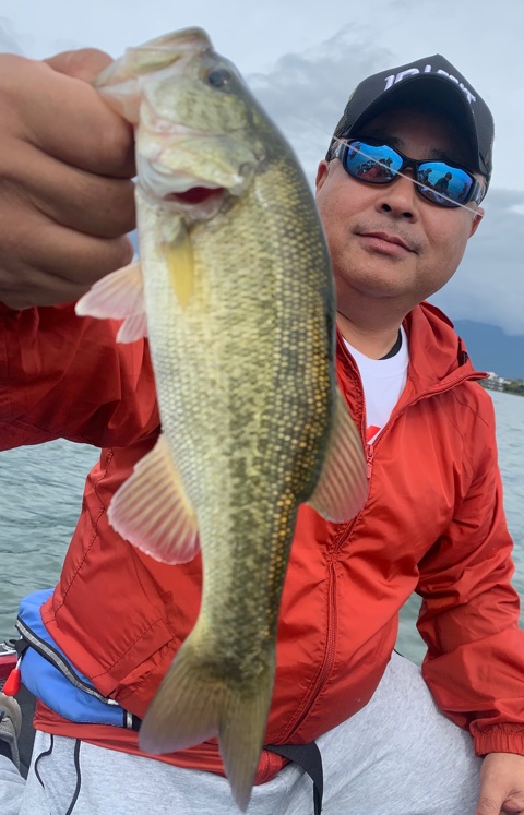 10月26日琵琶湖ガイドはジャスターフィッシュ2.5＆3.5DSで数釣りした後のサイズアップが激ムズな琵琶湖