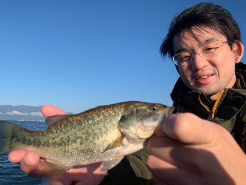 11月6日琵琶湖ガイドは北湖も南湖もシブシブの中を数釣りとサイズを混ぜていく作戦はジャスターフィッシュ2.5が強い味方でした。