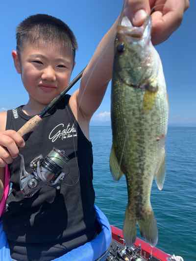 8月14日琵琶湖ガイドは猛暑！バス釣り始めての小学3年生に！GETNETジャスターフィッシュ3.5ダウンショットでキャッチも暑過ぎです！