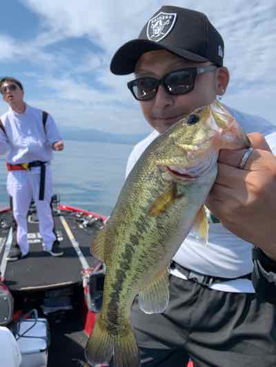 １0月14日琵琶湖ガイドはGETNETジャスターフィッシュ3.5のダウンショットで数釣りの中でもグッドサイズ！GETNETジャスターフホッグのテキサスでビッグ狙いでも50アップ！