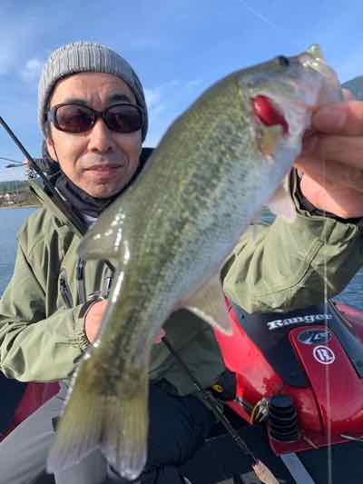 11月6日琵琶湖ガイドはGETNETジャスターフィッシュ3.5のダウンショットとレジットデザインワイルドサイドST65Lで癒しの数釣りを満喫！